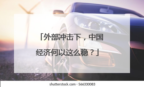 外部冲击下，中国经济何以这么稳？