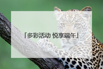 多彩活动 悦享端午