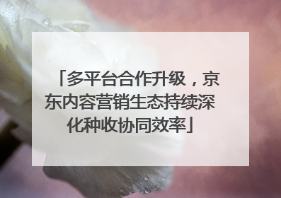 多平台合作升级，京东内容营销生态持续深化种收协同效率