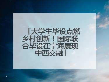 大学生毕设点燃乡村创新！国际联合毕设在宁海展现中西交融