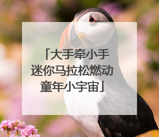 大手牵小手 迷你马拉松燃动童年小宇宙