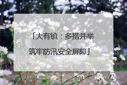 大有镇：多措并举筑牢防汛安全屏障