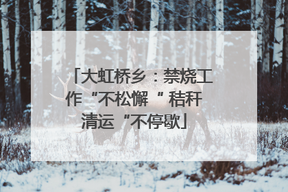 大虹桥乡：禁烧工作“不松懈“ 秸秆清运“不停歇