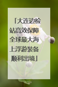 大连边检站高效保障全球最大海上浮游装备顺利出境