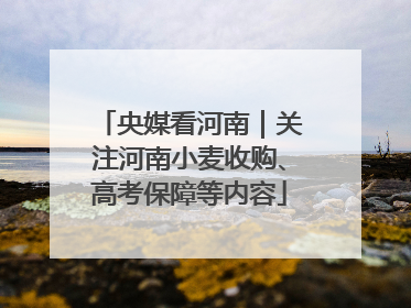 央媒看河南｜关注河南小麦收购、高考保障等内容