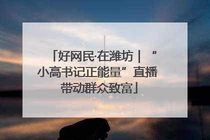 好网民·在潍坊｜“小高书记正能量”直播 带动群众致富