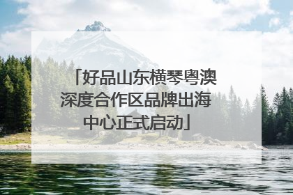 好品山东横琴粤澳深度合作区品牌出海中心正式启动