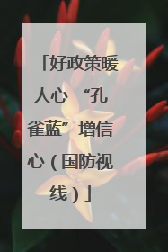 好政策暖人心 “孔雀蓝”增信心（国防视线）