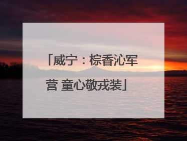 威宁：棕香沁军营 童心敬戎装