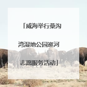 威海举行桑沟湾湿地公园巡河志愿服务活动