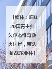 媒体：原U20国青主帅久尔杰维奇救火国足，带队征战东亚杯