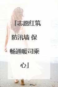 志愿红筑防汛墙 保畅通暖司乘心