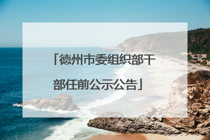 德州市委组织部干部任前公示公告