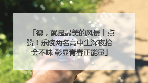 德，就是最美的风景丨点赞！乐陵两名高中生深夜拾金不昧 彰显青春正能量