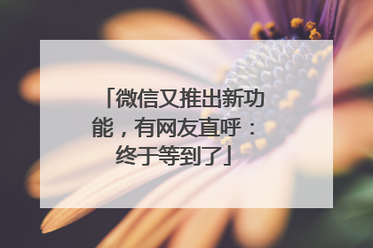 微信又推出新功能，有网友直呼：终于等到了