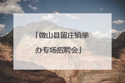 微山县留庄镇举办专场招聘会