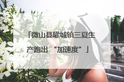 微山县驩城镇三夏生产跑出 “加速度”