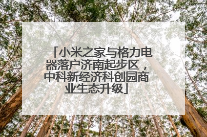 小米之家与格力电器落户济南起步区，中科新经济科创园商业生态升级