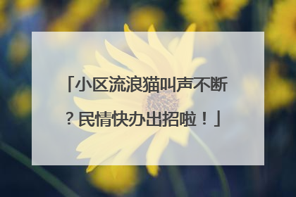 小区流浪猫叫声不断？民情快办出招啦！