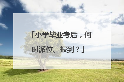 小学毕业考后，何时派位、报到？