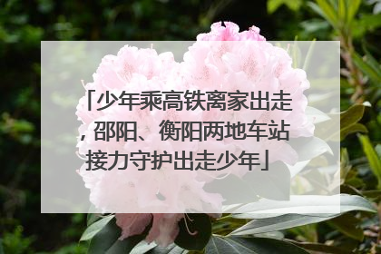 少年乘高铁离家出走，邵阳、衡阳两地车站接力守护出走少年