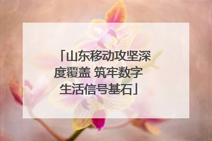 山东移动攻坚深度覆盖 筑牢数字生活信号基石
