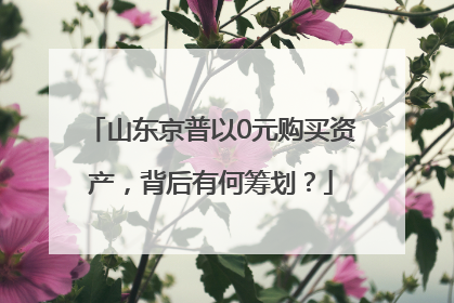 山东京普以0元购买资产，背后有何筹划？