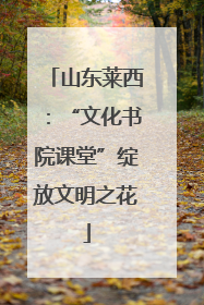 山东莱西：“文化书院课堂”绽放文明之花