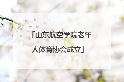 山东航空学院老年人体育协会成立
