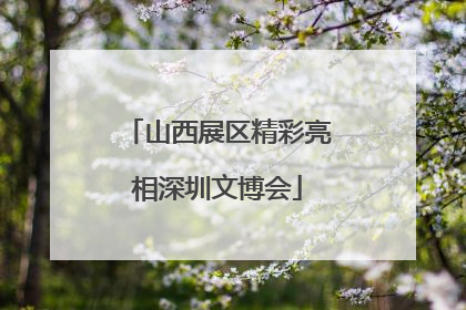 山西展区精彩亮相深圳文博会