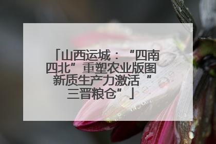 山西运城：“四南四北”重塑农业版图 新质生产力激活“三晋粮仓”