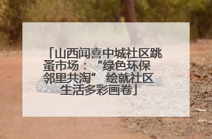 山西闻喜中城社区跳蚤市场：“绿色环保 邻里共淘” 绘就社区生活多彩画卷