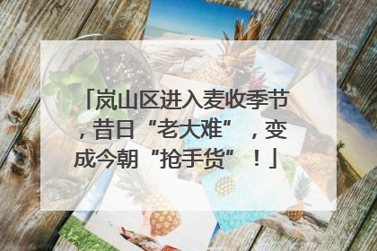 岚山区进入麦收季节，昔日“老大难”，变成今朝“抢手货”！