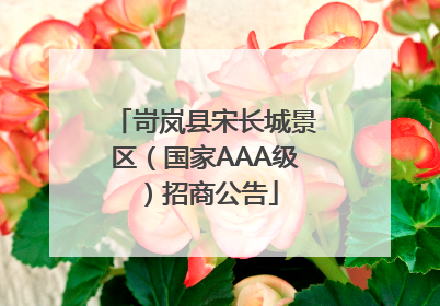 岢岚县宋长城景区（国家AAA级）招商公告