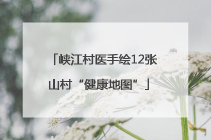 峡江村医手绘12张山村“健康地图”