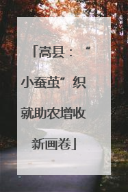 嵩县：“小蚕茧”织就助农增收新画卷