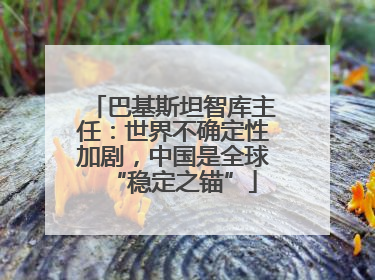巴基斯坦智库主任：世界不确定性加剧，中国是全球“稳定之锚”