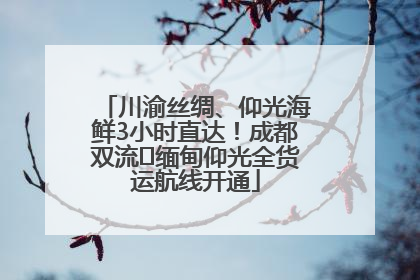 川渝丝绸、仰光海鲜3小时直达！成都双流⇌缅甸仰光全货运航线开通