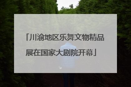 川渝地区乐舞文物精品展在国家大剧院开幕