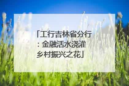 工行吉林省分行：金融活水浇灌 乡村振兴之花