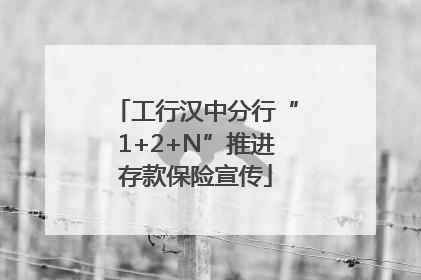 工行汉中分行“1+2+N”推进存款保险宣传