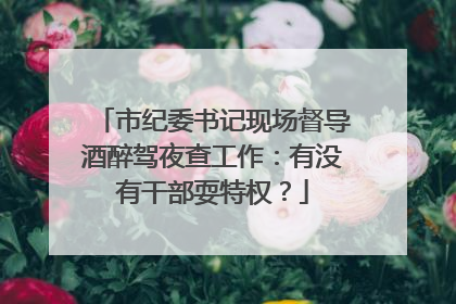 市纪委书记现场督导酒醉驾夜查工作：有没有干部耍特权？