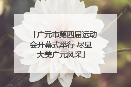 广元市第四届运动会开幕式举行 尽显大美广元风采