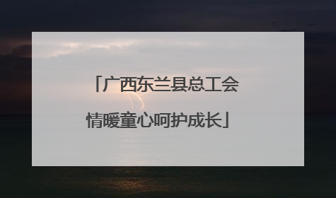 广西东兰县总工会情暖童心呵护成长