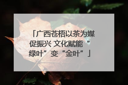 广西苍梧以茶为媒促振兴 文化赋能“绿叶”变“金叶”