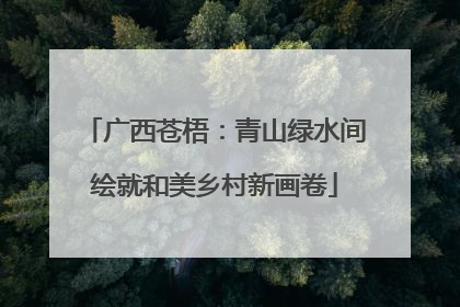 广西苍梧：青山绿水间绘就和美乡村新画卷