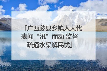 广西藤县乡镇人大代表闻“汛”而动 监督疏通水渠解民忧
