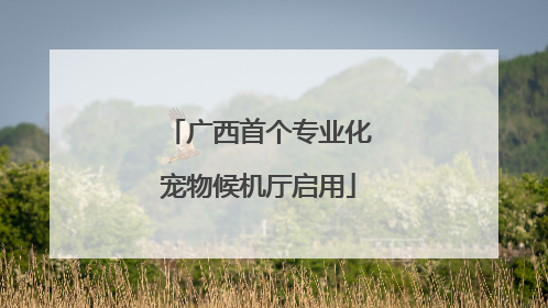 广西首个专业化宠物候机厅启用