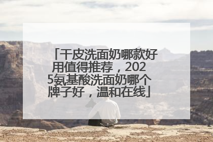 干皮洗面奶哪款好用值得推荐，2025氨基酸洗面奶哪个牌子好，温和在线