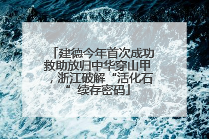 建德今年首次成功救助放归中华穿山甲，浙江破解“活化石”续存密码